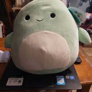 Antoni the turtle squishmallow